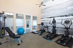 Santa Cruz apartment for rent - a gym with cardio equipment and a mural of a beach
